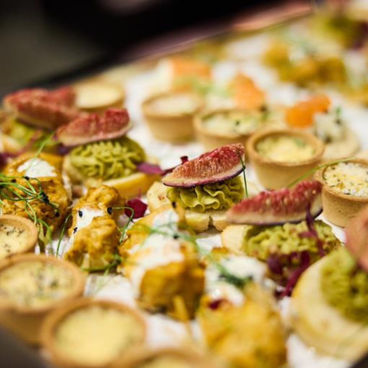 Courgette, Parma & Parmesan Tartlets